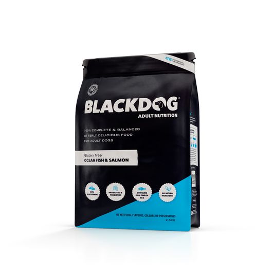 Blackdog Ocean Fish & Salmon Adult 2.5kg