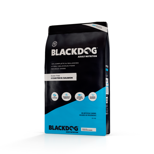 Blackdog Ocean Fish & Salmon Adult 9kg